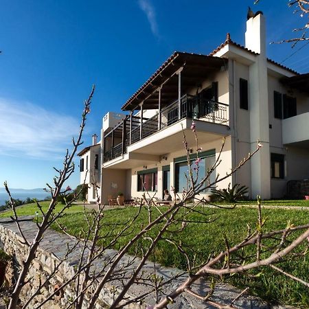 Aegean Panorama Apartments Akhladheri Exterior photo